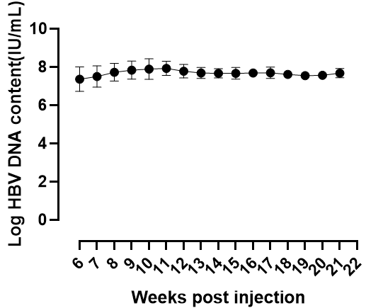 HBV DNA.png